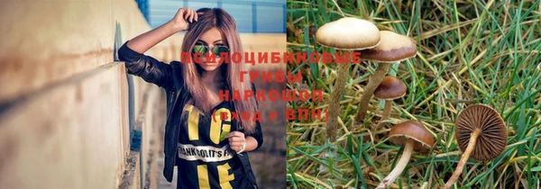 круглые Белокуриха