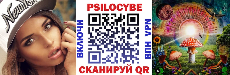 Галлюциногенные грибы Psilocybe  Вяземский 
